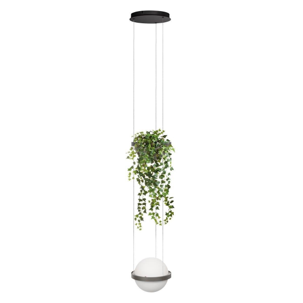 Подвесной светодиодный светильник Loft IT Jardin 10121/1P Dark grey Подвесной светодиодный светильник Loft IT Jardin 10121/1P Dark grey