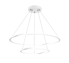 Подвесной светодиодный светильник Arte Lamp Veritate A2211SP-2WH