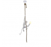 Подвесной светильник Aployt Magali APL.309.06.01