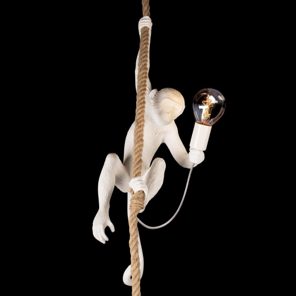 Подвесной светильник Loft IT Monkey 10314P Подвесной светильник Loft IT Monkey 10314P