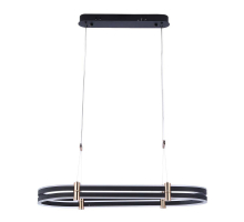 Подвесной светильник Zortes DUBLE-R ZRS.30505.92