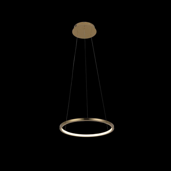 Подвесной светодиодный светильник Loft IT Ring 10014S Подвесной светодиодный светильник Loft IT Ring 10014S