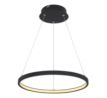 Подвесной светодиодный светильник Globo Ralph 67192-19B