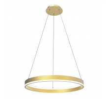 Подвесной светодиодный светильник Lightstar Rotonda 736402