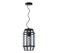 Подвесной светильник Lucide Fern 25408/01/30