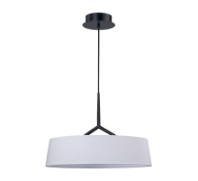 Подвесной светодиодный светильник Divinare Alma 1029/06 SP-10