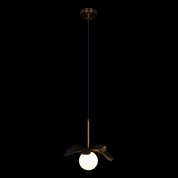 Подвесной светильник Loft IT Monro 10213/A Black Подвесной светильник Loft IT Monro 10213/A Black