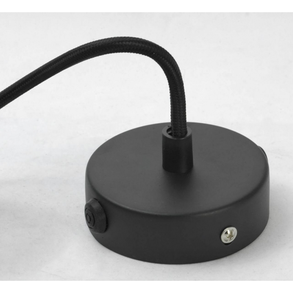 Подвесной светильник Lussole Loft LSP-9888 Подвесной светильник Lussole Loft LSP-9888