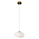 Подвесной светильник Loft IT Fionora 10531C