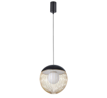 Подвесной светодиодный светильник Favourite Core 4240-1P