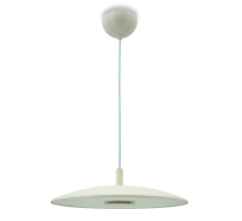 Светильник подвесной Lightera Thale LE123L-30W