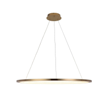 Подвесной светодиодный светильник Loft IT Ring 10014XL