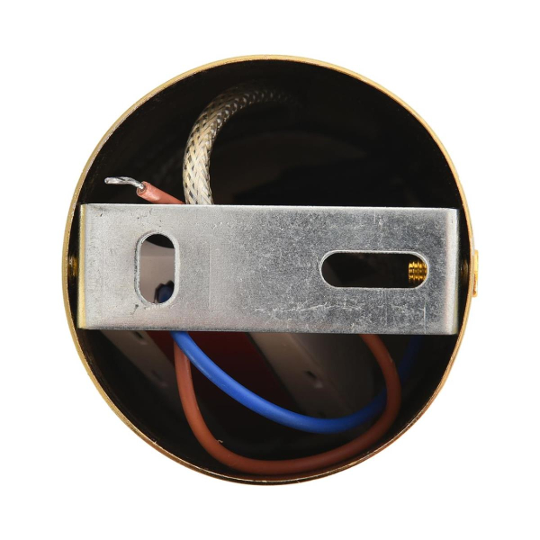 Подвесной светильник Lumion Taisha Ledio 8324/20L