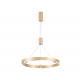 Подвесной светодиодный светильник Ambrella light Comfort Line FL5846