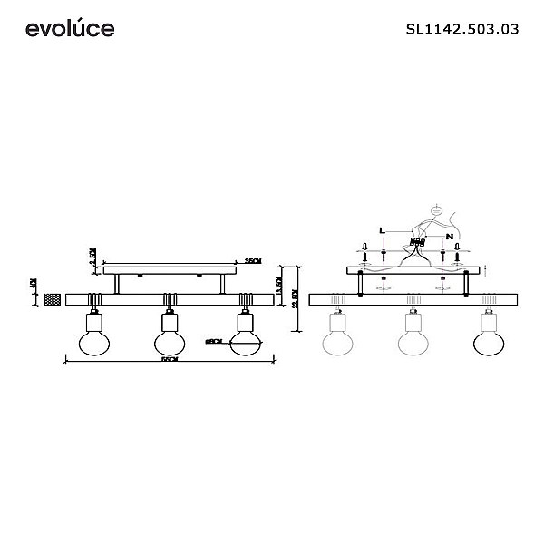 Потолочный светильник Evoluce Bagetti SL1142.503.03