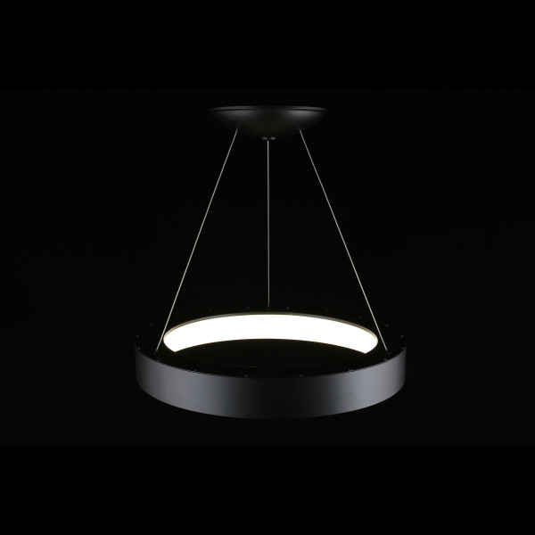 Подвесной светодиодный светильник Aployt Michell APL.052.13.60