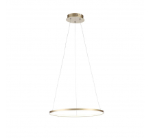 Подвесной светодиодный светильник ST Luce Erto SL904.203.01