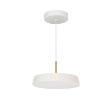 Подвесной светодиодный светильник Arlight SP-Elegant-R300-17W Day4000 033919(1)