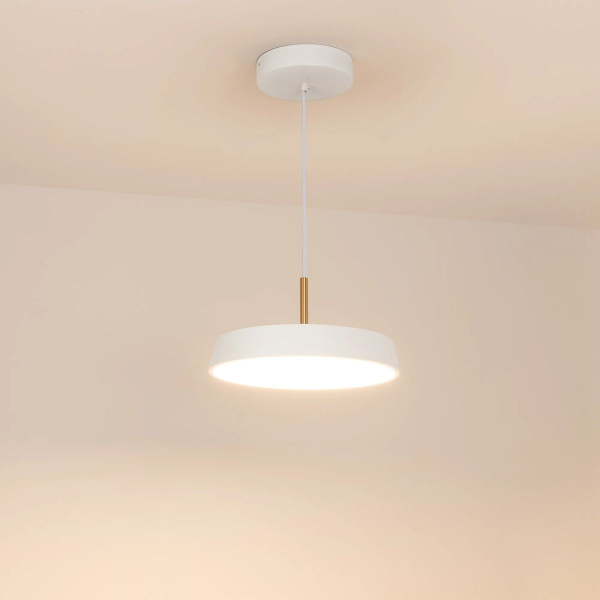 Подвесной светодиодный светильник Arlight SP-Elegant-R300-17W Warm3000 033914(1) Подвесной светодиодный светильник Arlight SP-Elegant-R300-17W Warm3000 033914(1)