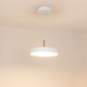 Подвесной светодиодный светильник Arlight SP-Elegant-R300-17W Warm3000 033914(1)