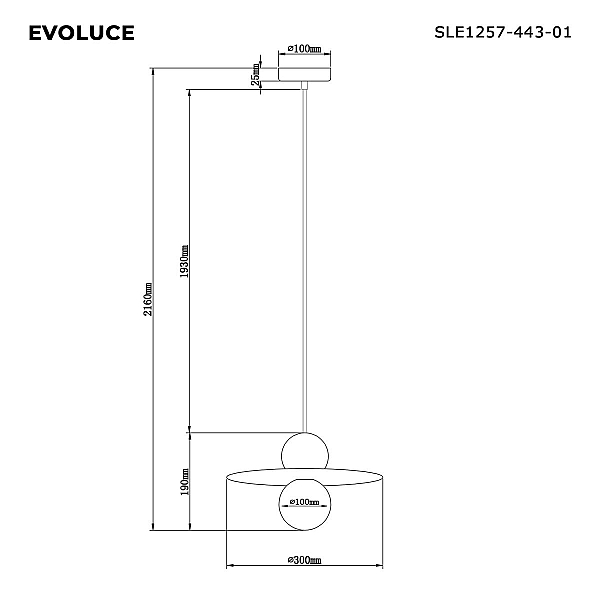 Подвесной светильник Evoluce SLE1257-443-01