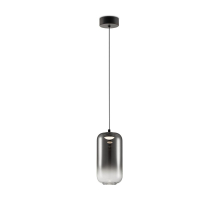 Подвесной светодиодный светильник Freya Idol FR6134PL-L4SM