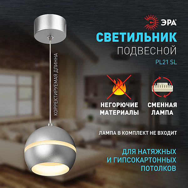 Подвесной светильник ЭРА PL21 SL Б0058505