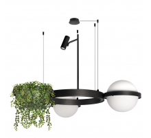 Подвесной светодиодный светильник Loft IT Jardin 10121/2