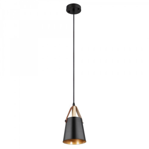 Подвесной светильник Arte Lamp THOMAS A7032SP-1BK