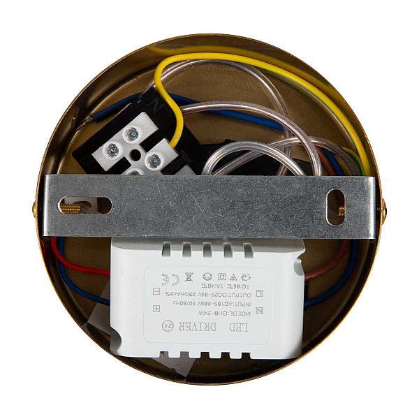 Подвесной светильник Freya Магнит / Magnet FR6106PL-L13G