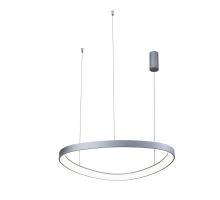 Подвесной светильник Aployt Zula APL.022.13.48