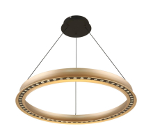 Подвесной светодиодный светильник Aployt Justyna APL.787.03.50