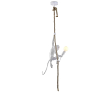 Подвесной светильник Aployt Magali APL.309.06.01