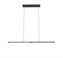 Подвесной светодиодный светильник ST Luce Ralio SL1580.403.01