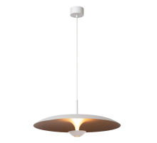 Подвесной светильник Lucide KENNETH 41412/60/31