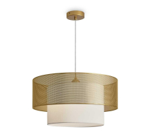 Подвесной светильник Freya Modern FR5528PL-01BS