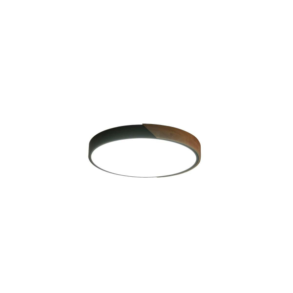 Потолочный светильник Zortes ALBERRO ZRS.01287.36 Потолочный светильник Zortes ALBERRO ZRS.01287.36