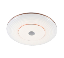 Потолочный светодиодный светильник Profit Light 2147/450 WH+CR