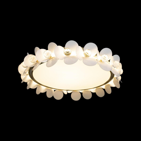 Потолочный светодиодный светильник Loft IT Bride 10175 Потолочный светодиодный светильник Loft IT Bride 10175