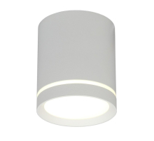 Потолочный светодиодный светильник Omnilux Capurso OML-102429-05