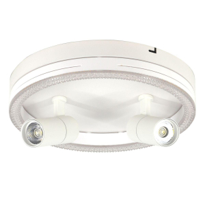Потолочный светодиодный светильник Escada 20044SMA/03LED WH