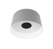 Потолочный светодиодный светильник Loft IT Duo 10360M Grey