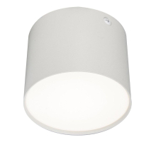 Потолочный светодиодный светильник Escada 20004SMU/01LED SWH