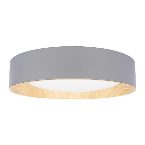 Потолочный светодиодный светильник Loft IT Coin 10202 Grey Потолочный светодиодный светильник Loft IT Coin 10202 Grey