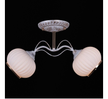 Потолочный светильник Reluce 31417-0.3-02C