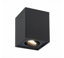 Потолочный светильник ST Luce ST109.407.01