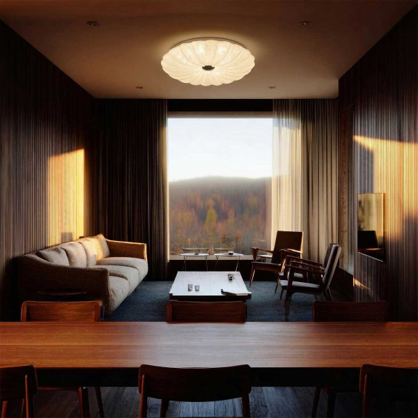 Потолочный светильник Lightstar Arco Shell 225640