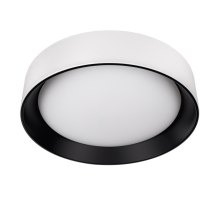 Потолочный светильник Loft it Coin 10202 WB