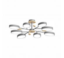 Потолочный cветильник LED4U L3221-850 GR