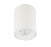 Потолочный светильник ЭРА OL1 GU10 WH Б0041503